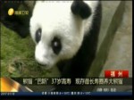 熊貓“巴斯”37歲高壽  現存最長壽圈養大熊貓