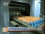 臺灣問題雞蛋風波燃燒 臺灣食品安全問題 為何層出不窮？