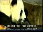 贈臺大熊貓“團團”“圓圓”迎來13歲生日