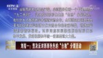 劉結一：堅決反對形形色色的“臺獨”分裂活動