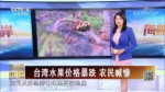 臺灣水果價格暴跌 農民喊慘