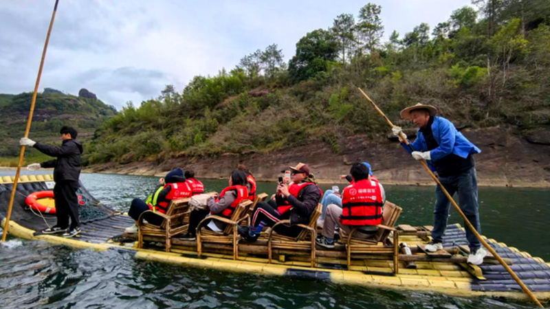 九曲茶路通兩岸