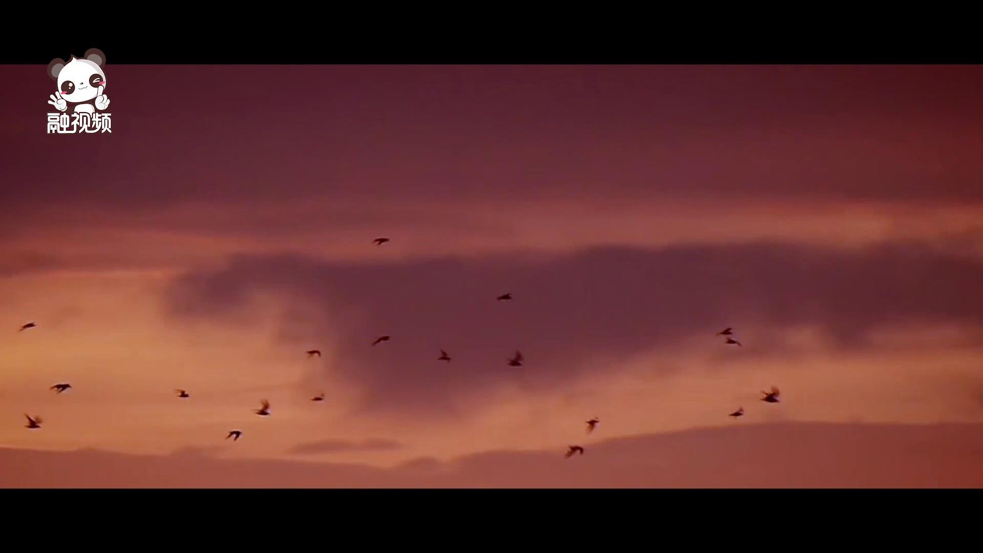 Tʦ~eO@aIOW\v˺֫شM ЦLҦ߲WϤ