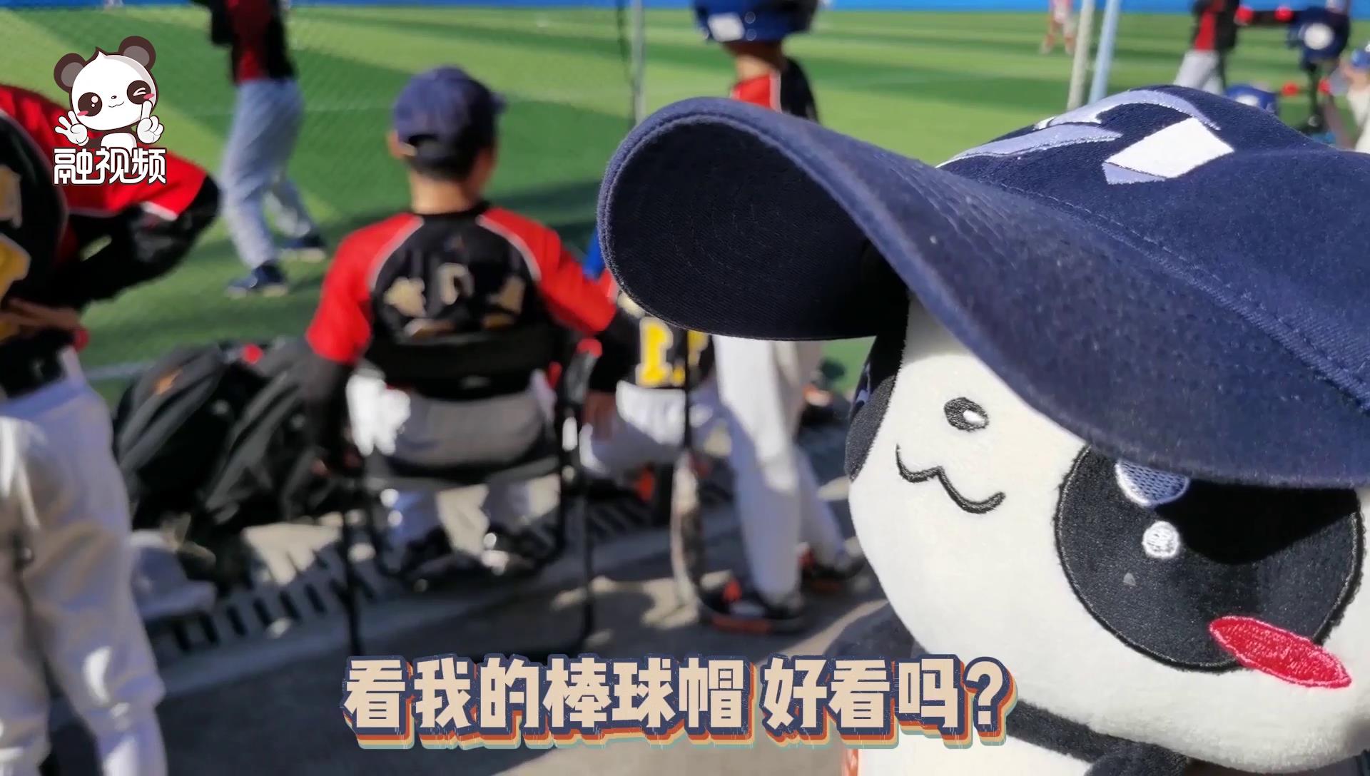 融融打卡深圳大學圖片