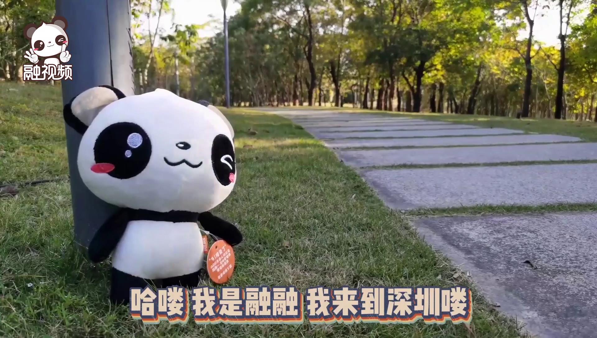 融融打卡深圳灣公園圖片