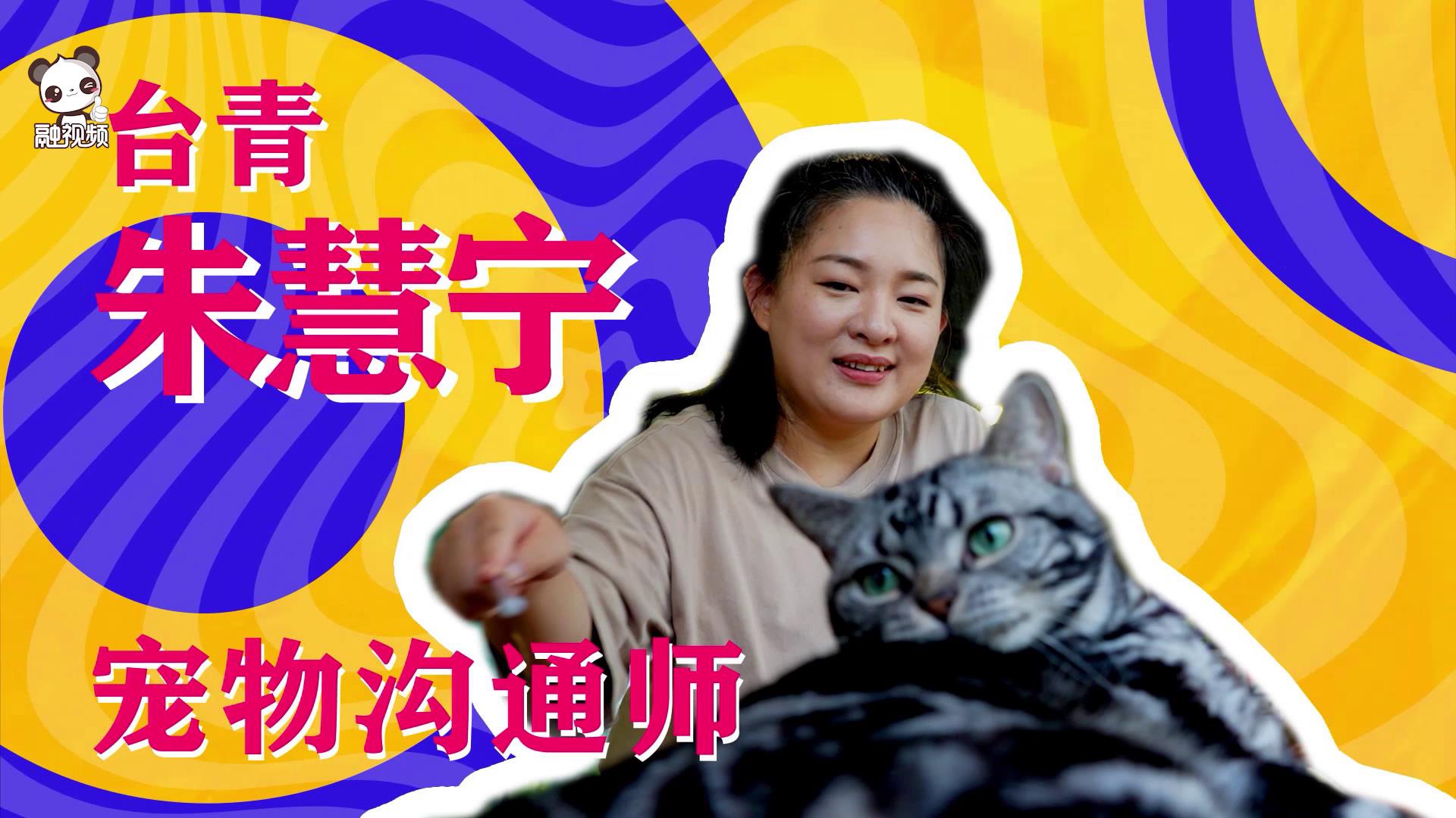 臺青朱慧寧：早與廈門“融”在一起，倣佛從未離開臺灣圖片