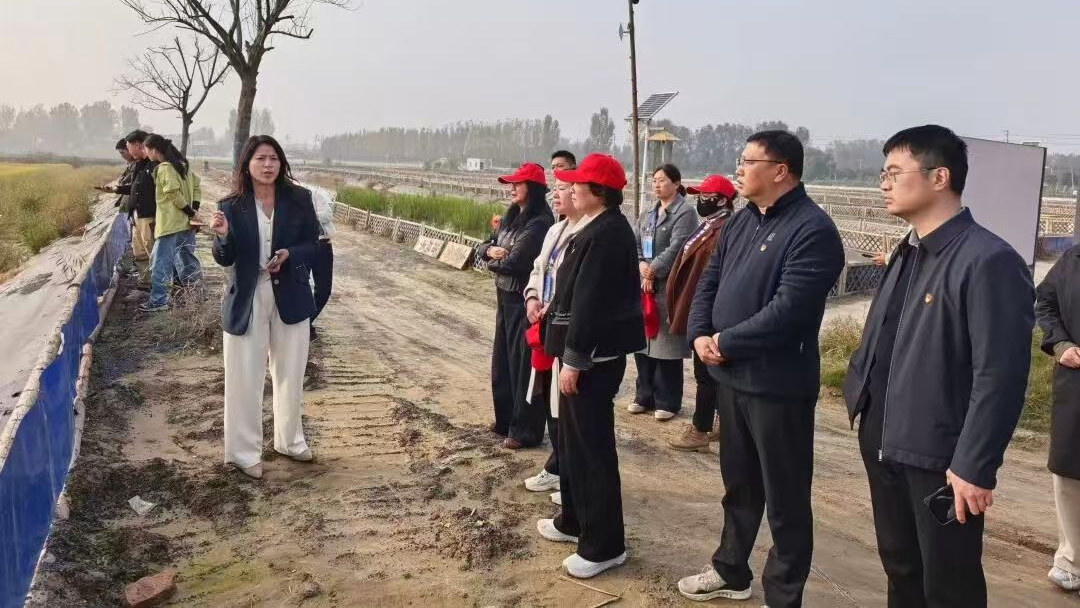 開封市城鄉一體化示范區臺胞臺屬開展生態農業學習體驗活動