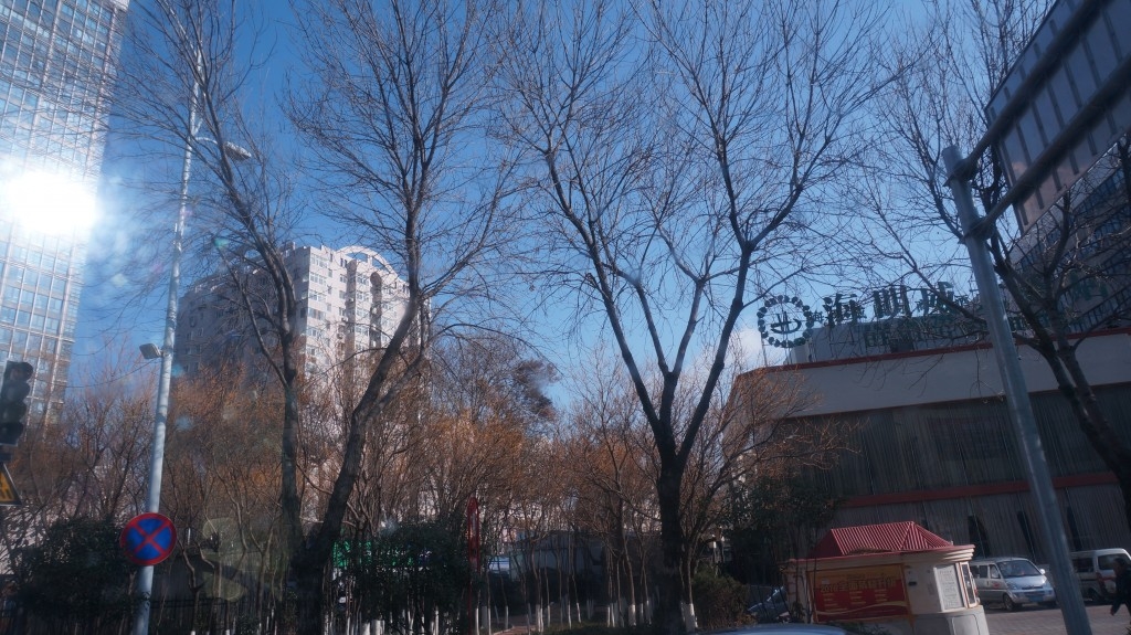 dsc07296