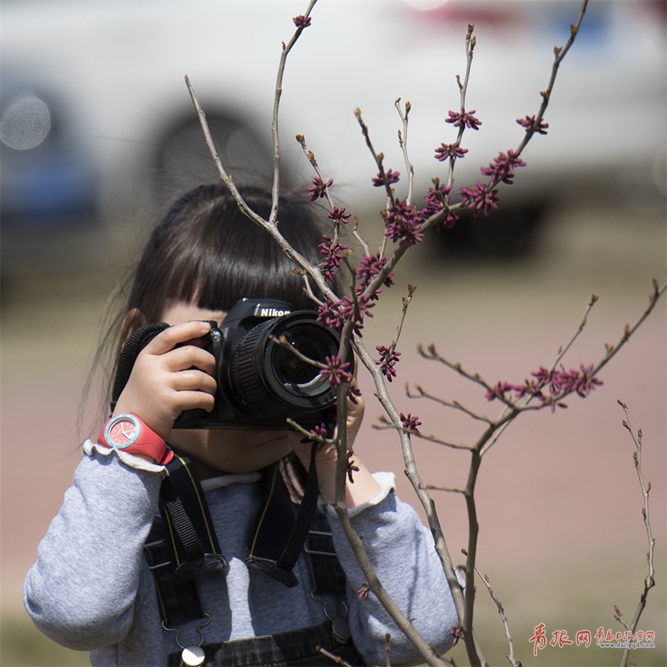 d_WGdso|qs s芿oᬾgt