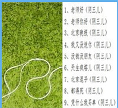 ƳN120ֲ~CJ¦W桨