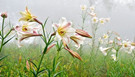 20140428135426312369_ƥ.jpg