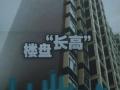 _禿G9h15h ӽLLW