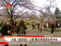 jmȹCknW nOWȹC~