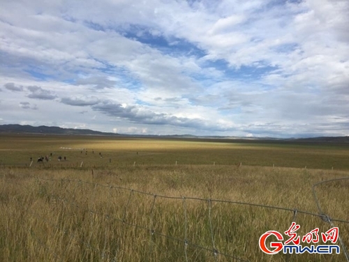 iC騫jx}Ia }Xæa֪ᡨ