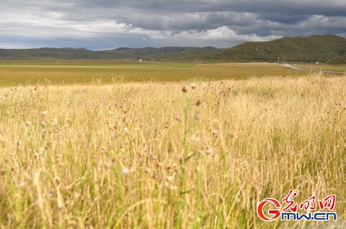 iC騫jx}Ia }Xæa֪ᡨ