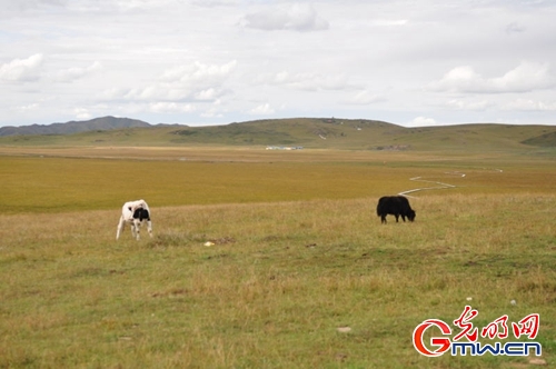 iC騫jx}Ia }Xæa֪ᡨ