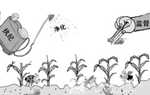 u=586127204,4258279946&fm=21&gp=0_ƥ.jpg