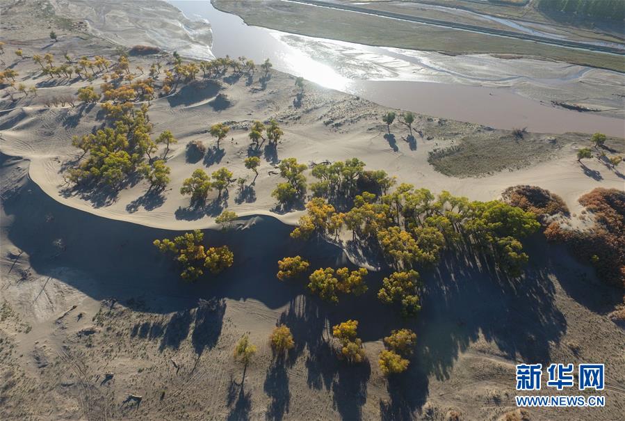 (新華全媒頭條·防沙治沙·圖文互動)(1)居延海重生記 (新華全媒頭條·防沙治沙·圖文互動)(1)居延海重生記