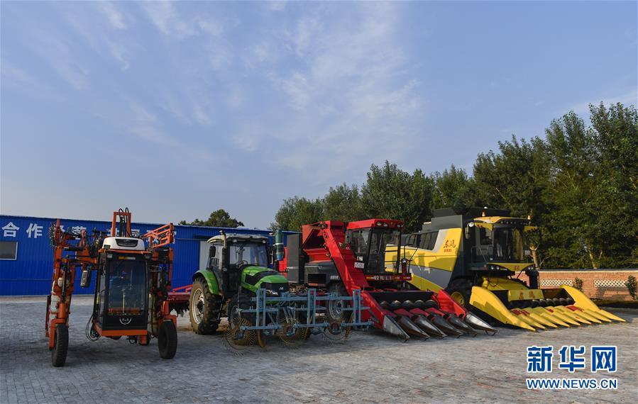 (新華全媒頭條·圖文互動)(5)為現代農業探新路——來自吉林梨樹的田野報告