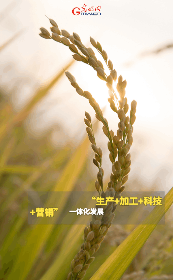 iʺAjO٥~³צAoǤFTFI