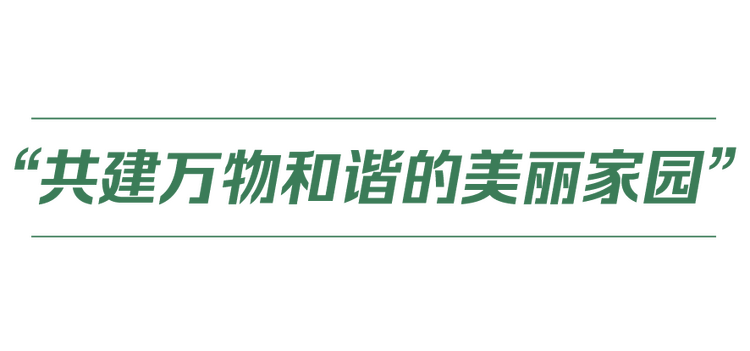 ꦡ{NحHP۵MMӦ@