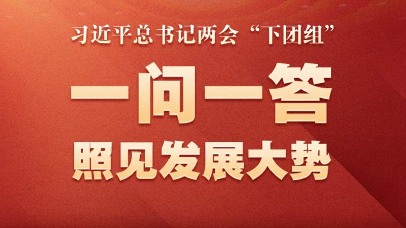 LHI_20250309153806_ƥ.png