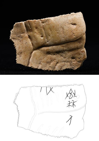 【高質量發展看陜西】文物煥活力,非遺正青春