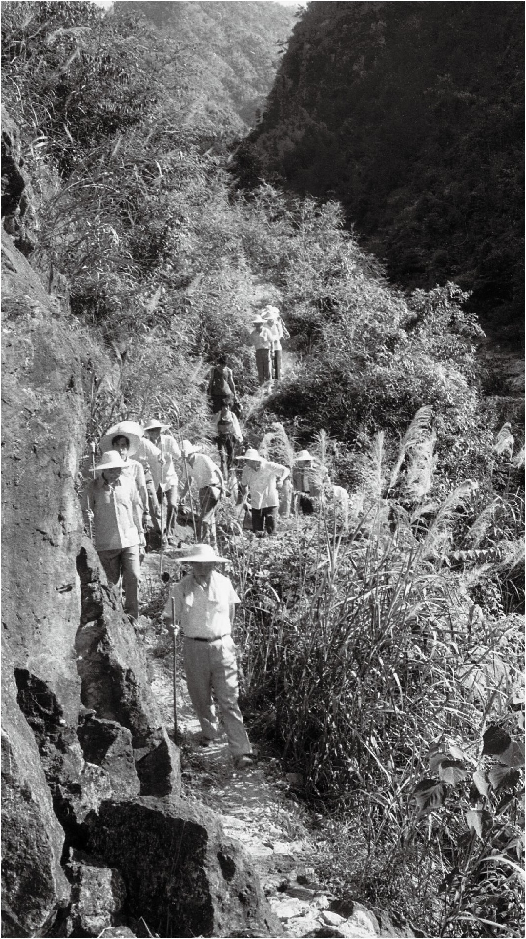 1989~7Aߪ񥭤@ع翤UҶmլC