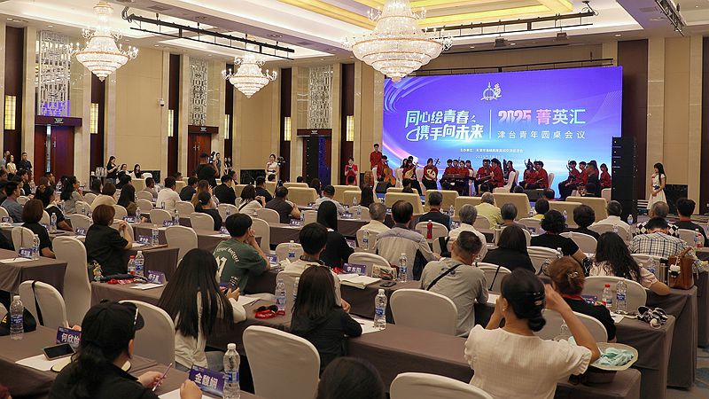 2025年菁英匯·津臺青年圓桌會議在津成功舉辦
