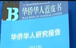 ~԰Ӫn@