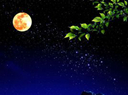 9c16fdfaaf51f3de6ce2357894eef01f3a29795e_ƥ.jpg
